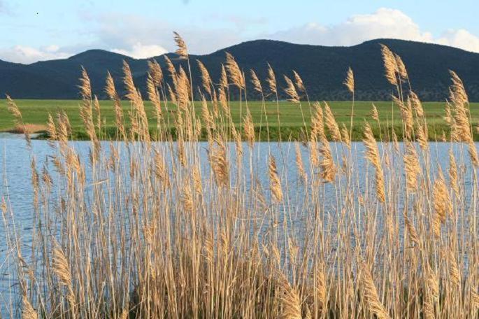 Cortijo El Criadero El Hoyo Εξωτερικό φωτογραφία
